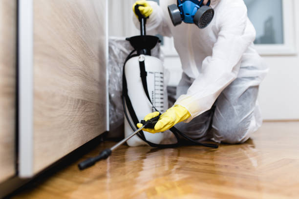 Best Affordable Pest Control Services  in Bay Pines, FL