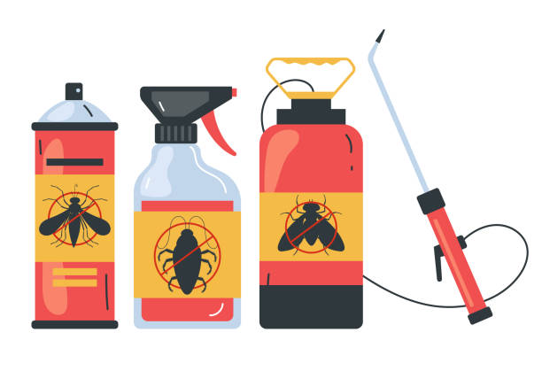 Best Pest Control Near Me in Bay Pines, FL